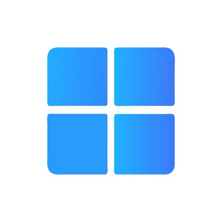 Windows 11